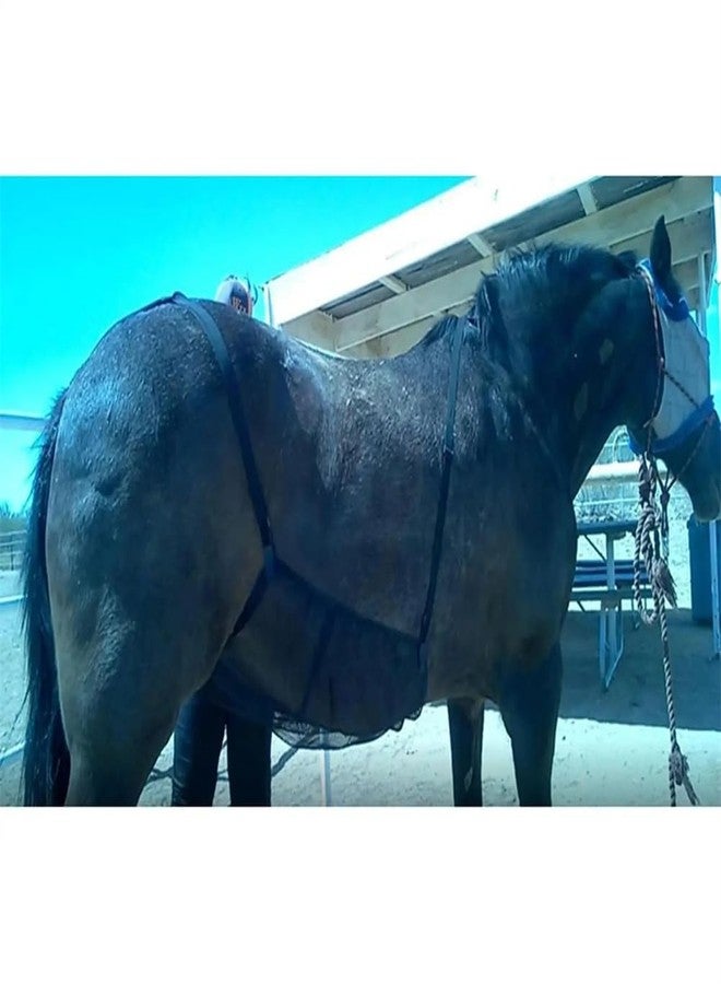 Gaderth Horse Fly Sheet Belly Guard, Mesh Belly Protector with Adjustable Straps, Lightweight Fly Protection for Riding, All Breed Sizes, One Size, Unisex, Nylon Mesh, Summer, Spring, All Seasons - Image 4